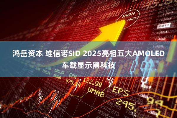鸿岳资本 维信诺SID 2025亮相五大AMOLED车载显示黑科技