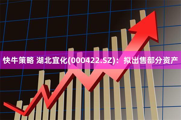 快牛策略 湖北宜化(000422.SZ)：拟出售部分资产