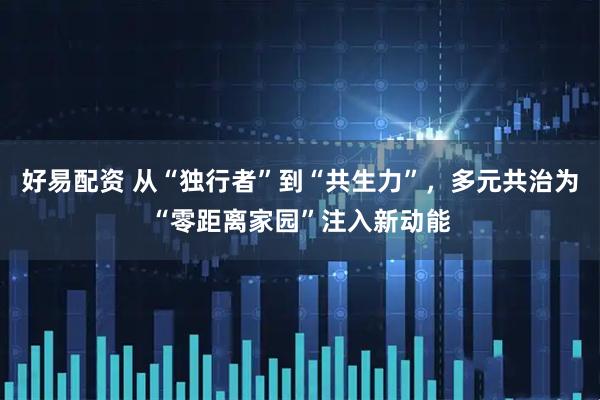 好易配资 从“独行者”到“共生力”，多元共治为“零距离家园”注入新动能