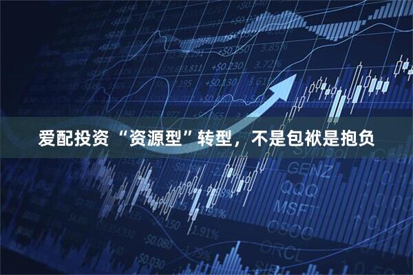 爱配投资 “资源型”转型，不是包袱是抱负