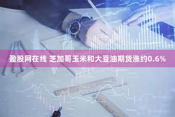 盈股网在线 芝加哥玉米和大豆油期货涨约0.6%