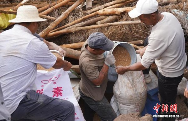 匠心智策 青海海东“以快制险 以准保人”应对汛情“大考”