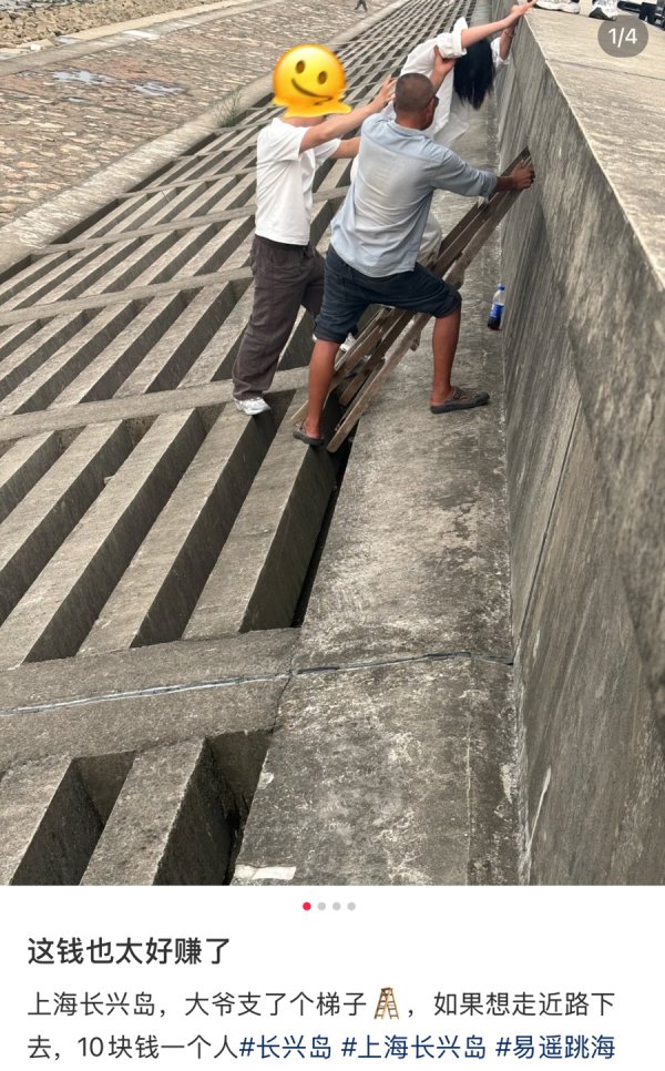 掌牛宝 5元一人，竟有人架梯子让人翻过江堤打卡！上海这处网红地“生意”隐患大